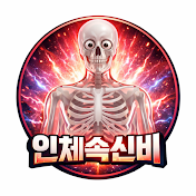 인체속신비