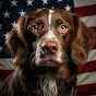 Spaniel (Cocker) USA logo