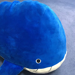 色んなゲームを楽しむ人