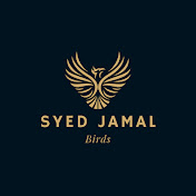 Hire Syed Jamal Birds — Pets & Animals YouTube creator for sponsorships