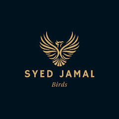 Avatar for YouTube creator Syed Jamal Birds