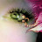 Avatar photo