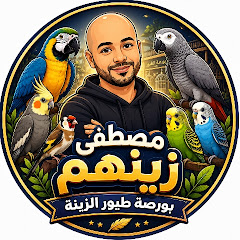 مصطفى زينهم
