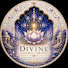 D0_B0nG7n0M-channel-avatar-Divine Cosmic Grace 