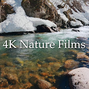 4K Nature Films