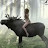 Avatar photo