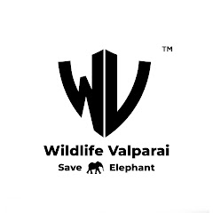 Wildlife Valparai  avatar