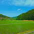 cvQ-XihPJ_0-channel-avatar-WABI-SABI JOURNEY