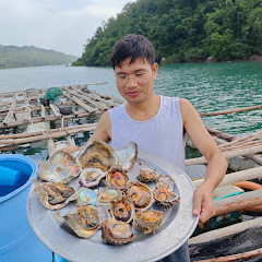 Channel thumbnail for Thú Vui Vùng Miền