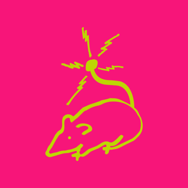 Avatar de Radio Noia