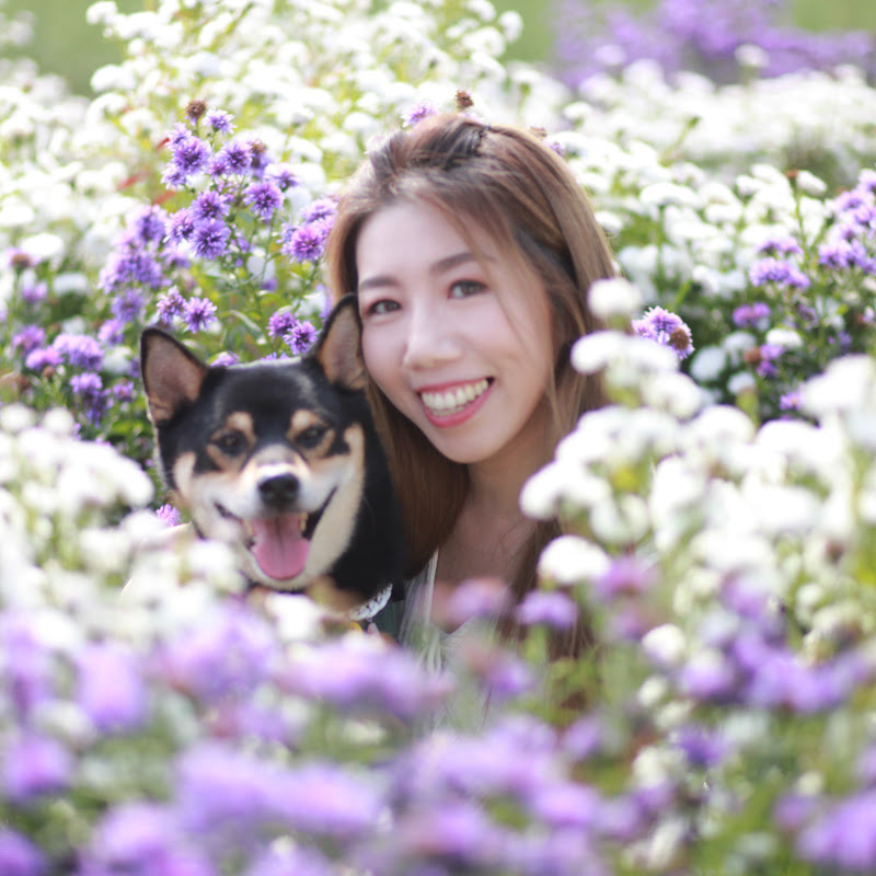 Juno&me泰國遊牧記 Logo