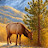 @ElksandEvergreens