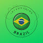 Introducing Brazil logo
