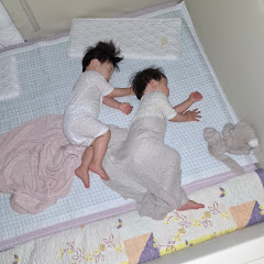 쌍둥이 육아 일기アイコン画像