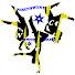 hzwj2nGw8Kk-channel-avatar-NorthWest Cheer and Dance “Pure Obsession”