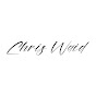 Chris Waid - @chriswaid - Youtube