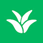 Sugarcane logo