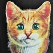 the world of cats