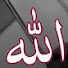 2Uy17kvZ__c-channel-avatar-NAYAB BAYANAT