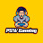 PSW Gaming