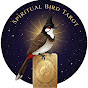 Spiritual bird tarot kannada🧿 logo