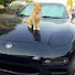 Ayq8MDms_2o-channel-avatar-dudewhodoesthings