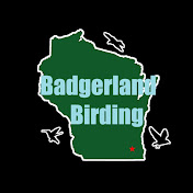 Badgerland Birding Extras