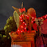 sUKcQ0_hXts-channel-avatar-Ss 