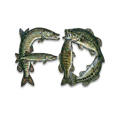 FisherDoogs