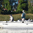 DkI9XNgFScM-channel-avatar-Tomas Retamal | Los Rios Fishing 