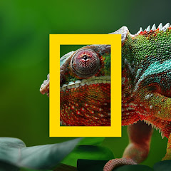 ナショナル ジオグラフィック TV