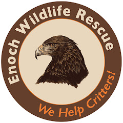Enoch Wildlife Rescue Avatar