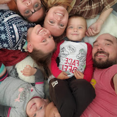 The Guest Life net worth