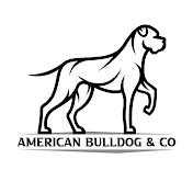 American Bulldog & Company 