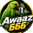 T6CSwSwgpcI-channel-avatar-awazz666.                  1.2M