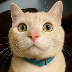 Crush Biraj Official