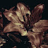 27CXmhx7ESA-channel-avatar-Valerie