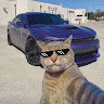 Автор