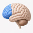 0y1PPIszK8w-channel-avatar-Prefrontal Nucleus