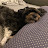 @Cyndy_dog