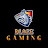 @BlazeGamer-7