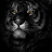 @kamotebusher's avatar
