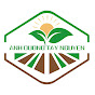 Ánh Dương Tây Nguyên Co.,Ltd logo