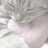 -rIgodlDxcA-channel-avatar-Kitty in Christ ♡