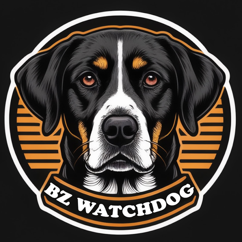 BZWATCHDOG avatar