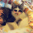 @straitcabbage Avatar