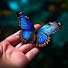 P2m1nRAPzLg-channel-avatar-nabi🦋