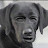 @frederickdjamerson4652 Avatar