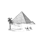 Sleep Through History
