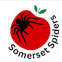 Somerset Spiders logo